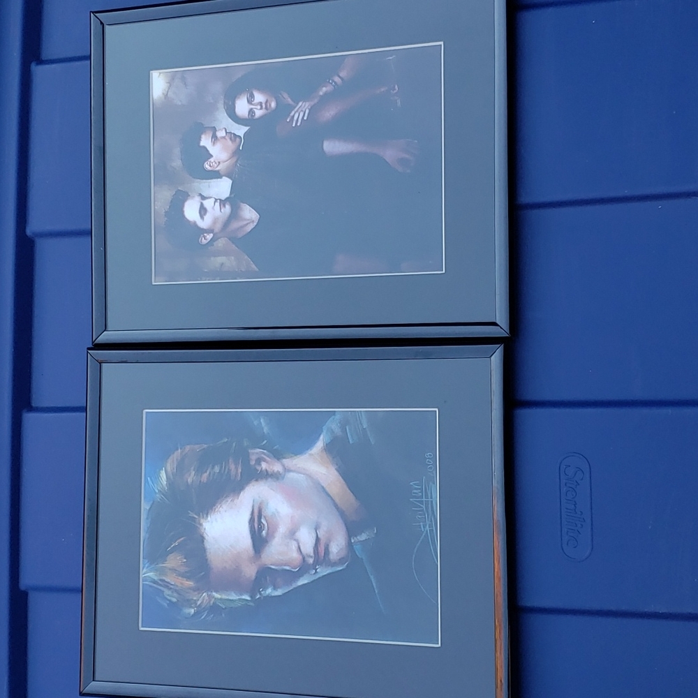 ♥️5for25 twighlight pictures framed